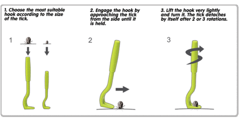 Cómo utilizar la pinza quita garrapatas